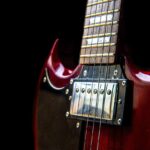 close-up-4564714_1280